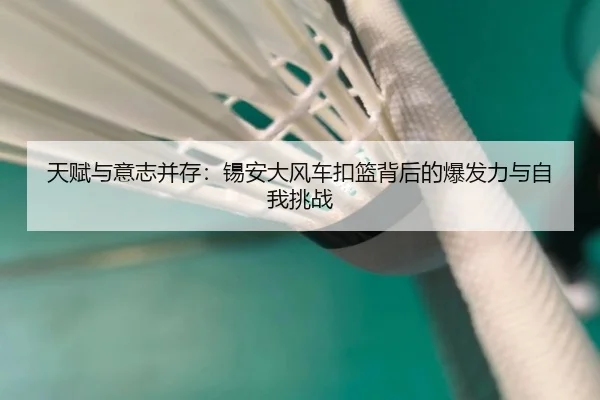 天赋与意志并存:锡安大风车扣篮背后的爆发力与自我挑战 | CROWNSPORTS